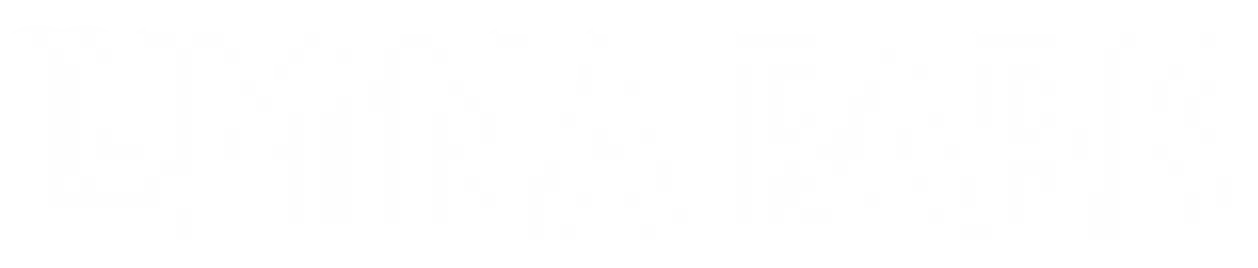 Partner logó